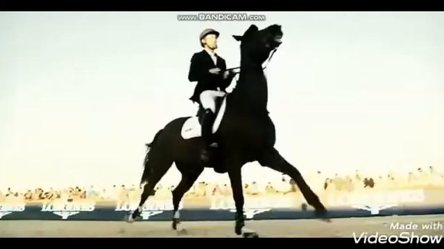 Burn the house down _Equestrian video music -- Jumping