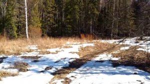 Весенняя прогулка на Нива Бронто 1922