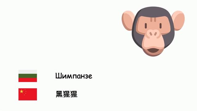 Животни (Китайски език) (bg-zh)