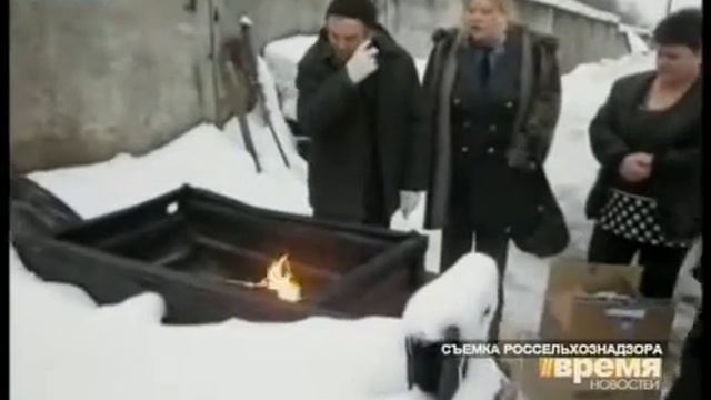 Об обнаружении крупной партии небезопасных семян смотреть онлайн