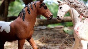 съемка шляйх сериала ЗАПРЕТ часть 2 ляпы, за кадром