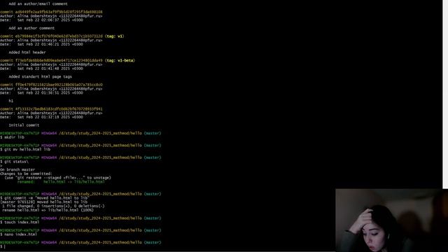Лабораторная работа №1. Работа с git | Математическое моделирование смотреть онлайн