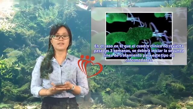 Albendazol: indicaciones y contraindicaciones | Maha TV смотреть онлайн