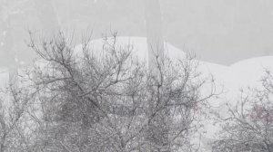 Первый снег v2.0