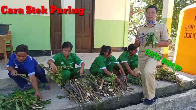 STEK PURING DAN BOUGENVILE PKL SISWA SMK NEGERI 2 LOLI смотреть онлайн