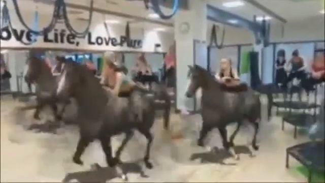 Большой медведь   О