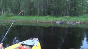 По озёрам Карелии к морю Белому. Часть 2. Щука Попова озера.