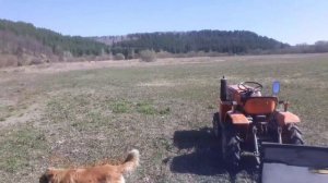 Подготовка поля к сенокосу.