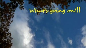 What`s up   4non blondes cover by FAMILY TRADITION BAND Александр Генслер