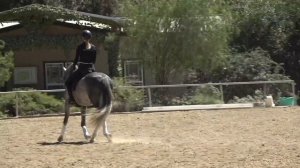 Turn your Horse Without the Inside Rein!