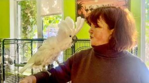 Алина СМЕЛАЯ, она не боится маминых грозных какаду и даже стала гладить Кешу)))