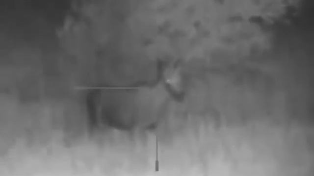 Охота с вышки смотреть онлайн