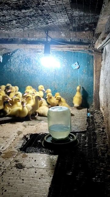 20 августа 2023 г. смотреть онлайн