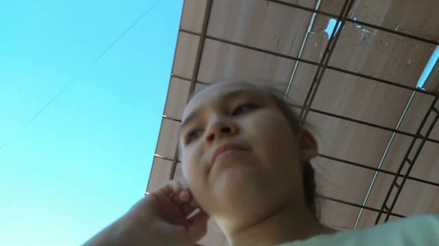 Мы и в правду нашли котов?!?!?!!?!?!? Тогда смотри моё новое видео. Я тебе отвечаю они такие няшки