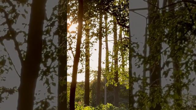 Абсолютно…стихотерапия. Поэзия любви