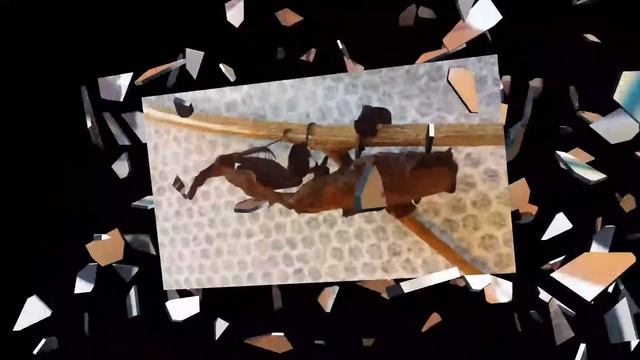 Ghost Praying Mantis ( Phyllocrania Paradoxa ) - Ghost Mantis Pictures смотреть онлайн