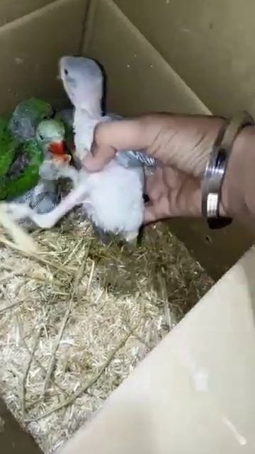 April 3, 2023 смотреть онлайн