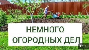 НАЧИНАЕМ САДИТЬ ОГОРОД, НО НЕ ЗАБЫВАЕМ ПРО САД. 29.04.2024г.