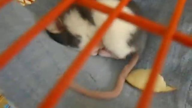 уход содержание. смотреть онлайн