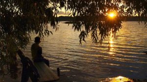 У реки, у речки ивы