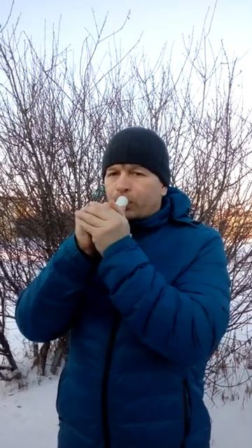 Манок Golden Roar на серого гуся, как он работает! смотреть онлайн