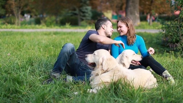 Family friends.Golden Dogs смотреть онлайн