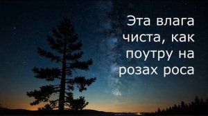 Я б хотела молиться, как молится ночью сосна – песня (со словами)