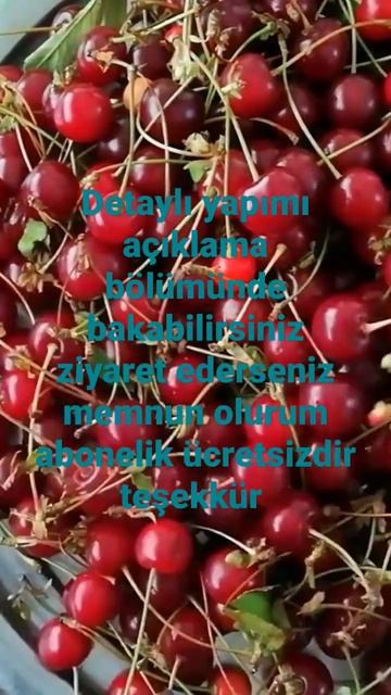 #kışhazırlıkları#recipes#deliceus#yumyum#pratiktarifler#sohortvideo
