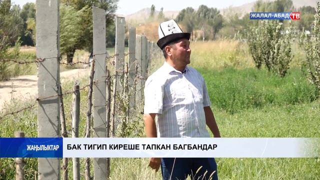 Бак тигип киреше тапкан багбандар смотреть онлайн