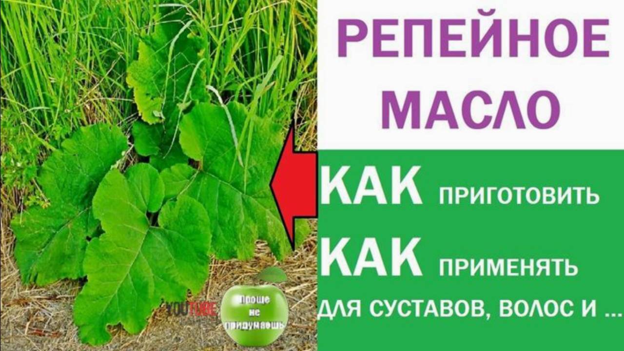 РЕПЕЙНОЕ МАСЛО готовим дома, Лучшее масло для СУСТАВОВ И ВОЛОС