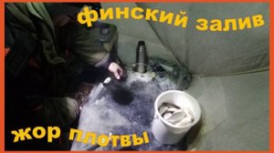 ФИНСКИЙ ЗАЛИВ. Наловил 10кг ПЛОТВЫ. СНАСТИ. ПРИКОРМКА . НАСАДКА. 2025.г