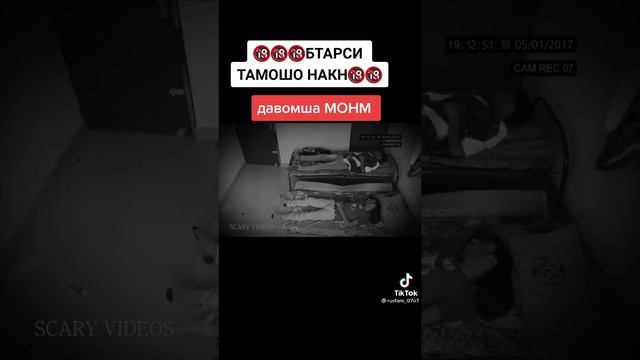 бехад навори тарснок😱 агар бтарси тамошо накун смотреть онлайн