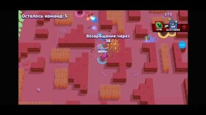 Покупаю кленовый скин на барли! | Brawl stars