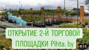 НОВЫЕ МОЖЖЕВЕЛЬНИКИ ЕДЕМ ПОКУПАТЬ В НОВОМ МЕСТЕ. 14.04.2024г.