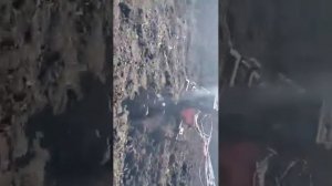 боронование после посадки картофеля. Самар Саня. у братуха Валентина.