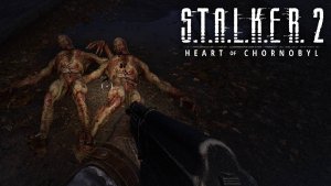 S.T.A.L.K.E.R. 2 (Самые Серьезные Аномалии Зоны / Прохождение №2 #154) - СТАЛКЕР 2 Сердце Чернобыля