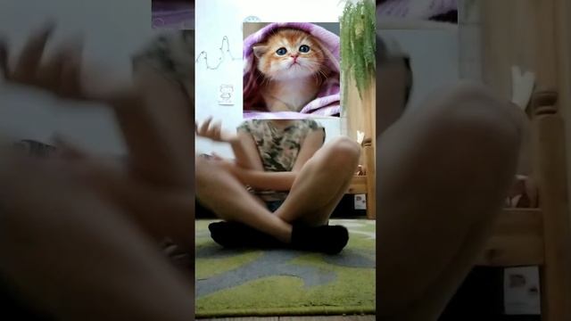 квадробика 