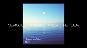 Feel_Losev - Seagull Soaring Over the Sea  (nature ambient lo-fi / музыка для работы, сна и отдыха)