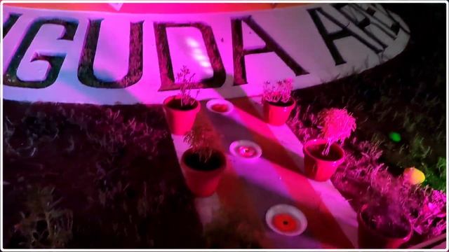 Janiguda Area Stage Arangan | Surda Soban 2023 смотреть онлайн