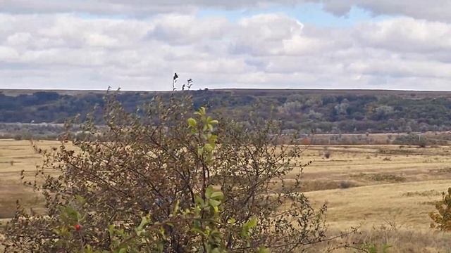 Новая ЛЕГЕНДА смотреть онлайн