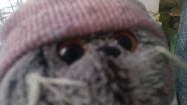 поливаем цветы🪴🌺🪴 смотреть онлайн