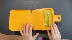 Ланчбокс. Распаковка. Обзор.