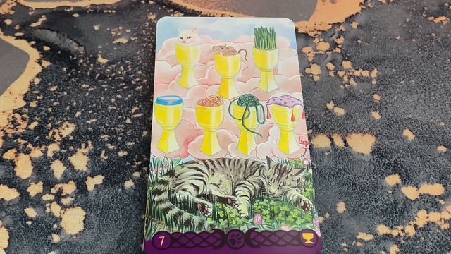 ТАРО ЯЗЫЧЕСКИХ КОШЕК🐈⬛ БЕЗРАМОЧНЫЕ!! | TAROT OF PAGAN CATS 🐈⬛ BORDERLESS!! смотреть онлайн