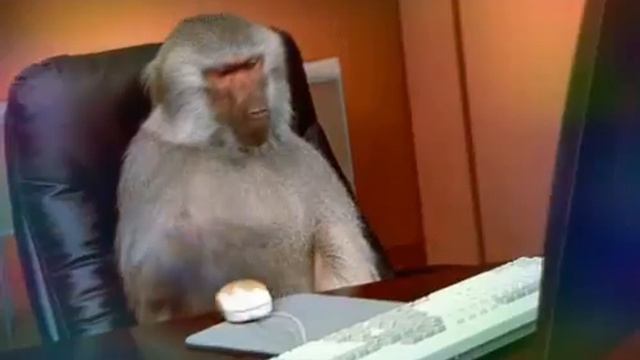 Шок абезьяна работает😱 смотреть онлайн