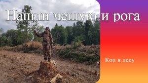 Летний коп в лесу. Набрели на делянку.