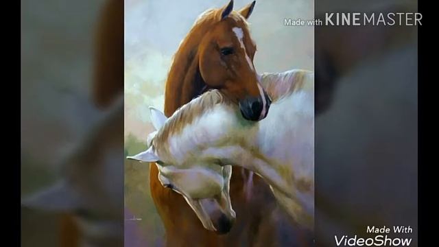 Встреча лошадей смотреть онлайн