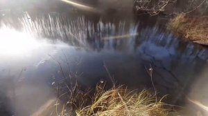 Проверка жерлиц на щуку