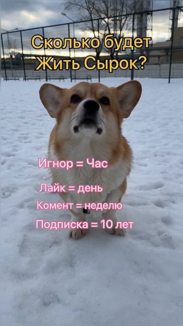 28 февраля 2022 г.