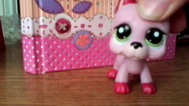 НОВИНКА! новые петы смотреть онлайн