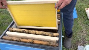 Привезли пчелопакеты на рутовской рамке. Сразу расширяем🐝